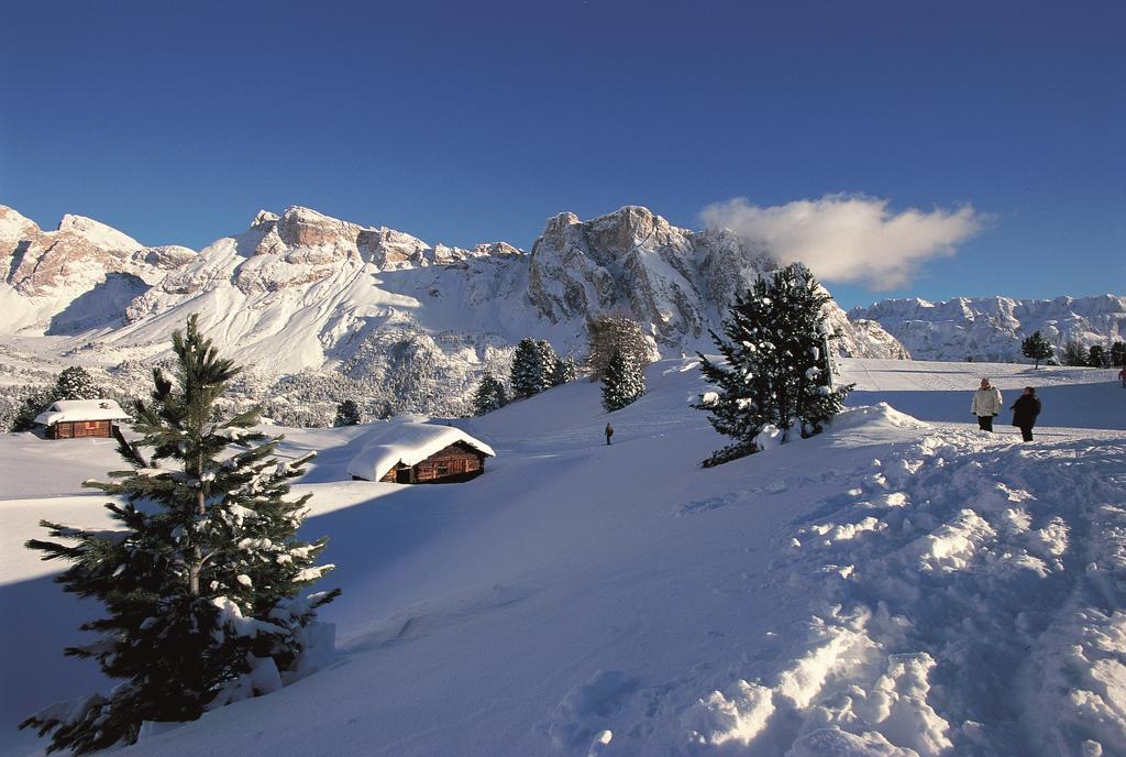 Apartments La Baita Santa Cristina Val Gardena Eksteriør bilde